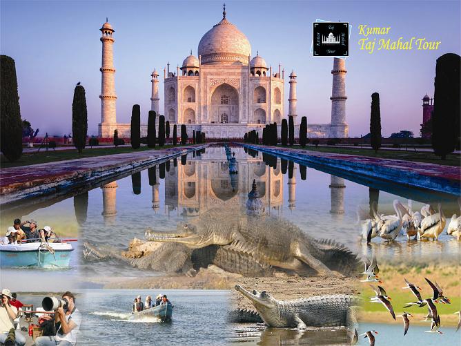 Taj Mahal with Chambal Safari