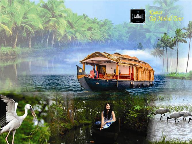 Romantic Kerala Tour