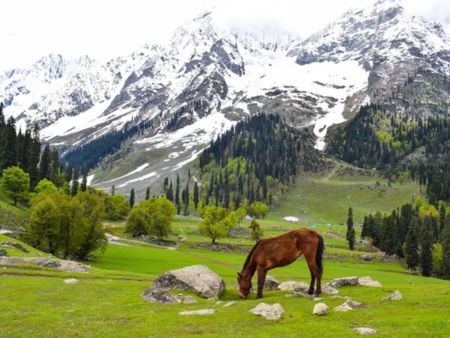 Kashmir Tours